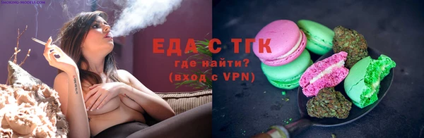 тгк Горнозаводск