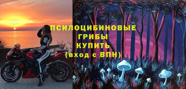 тгк Горнозаводск