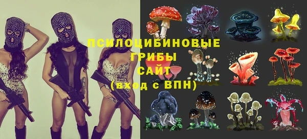 каннабис Горно-Алтайск